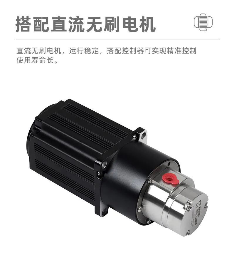 Stainless Steel Magnetic Drive Gear Oil Pump